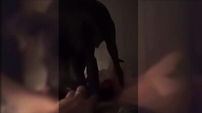 Dog licks little sluts pussy
