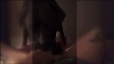 Dog licks little sluts pussy
