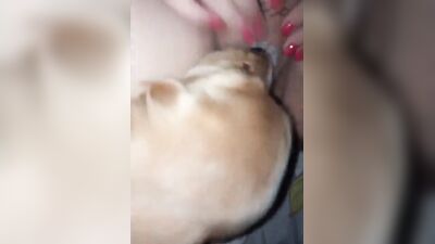 Dirty Lisa Sucks Dick & Swallows Every Drop