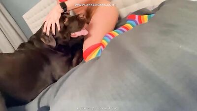 Bestiality movie from pornostar funny vids XD
