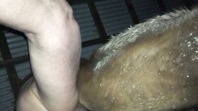 Pounding mare pussy