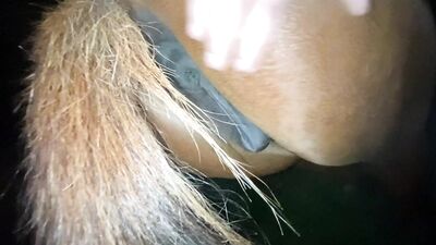 LoveforHorses - Episode 5 Business is Business