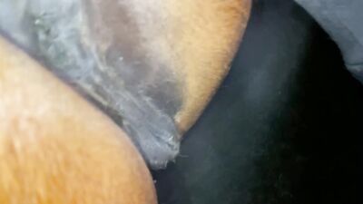 Business Babe Sucks Horses Cock in Shocking Episode 5