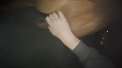 Business Babe Sucks Horses Cock in Shocking Episode 5