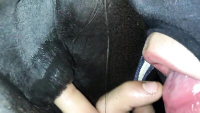 LoveforHorses - Episode 4 Finger Protocol