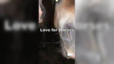 LoveforHorses - Episode 2 The Donut Chef