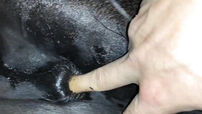 LoveforHorses - Episode 1 My first Horse butt