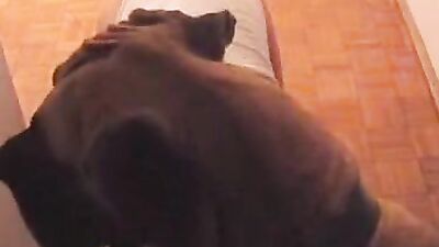 She sucks the cock of her dog until ejaculation