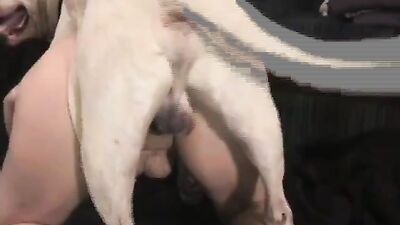 Amateur ashley monroe and dog bullseye