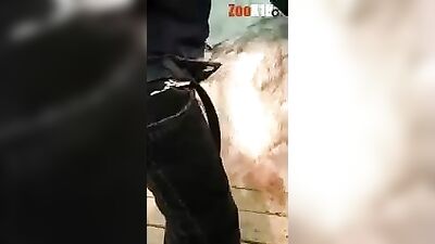 animalboy pigsex vid