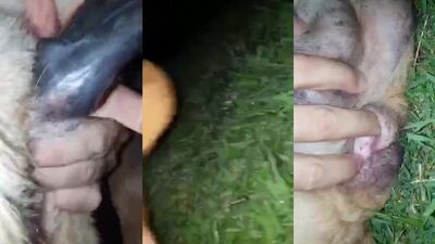 MI CABALLO LLENA DE LECHE A MI PERRA