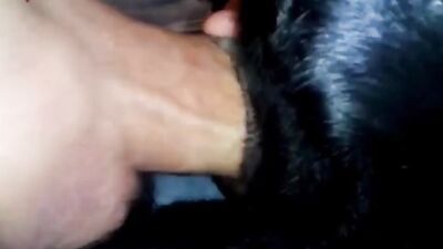 MI VERGA RESBALA SUAVEMENTE DENTRO DE MI PERRA