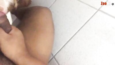 SEXO DURO CON LA PERRA DE MI AMIGO