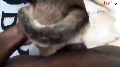MI ENORME PENE SE SIENTE APRETADO DENTRO DE MI PERRA