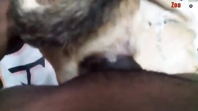 MI ENORME PENE SE SIENTE APRETADO DENTRO DE MI PERRA