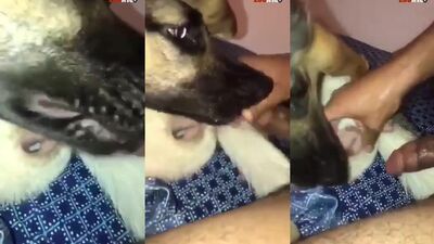 LLENANDO DE LECHE A MI PERRA