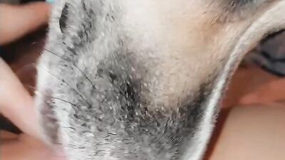 Dog taste ass and pussy for the first time of barely legal teen