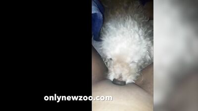 2020 new dog lick pussy teen videos