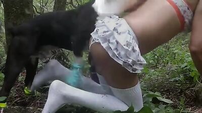 el perro se coge a su amo