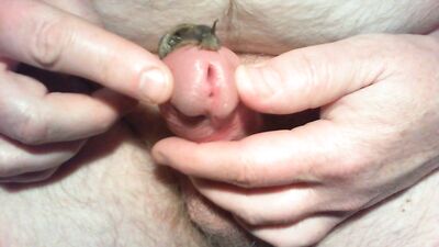 Slimy Snail Slurps Massive Male Meat