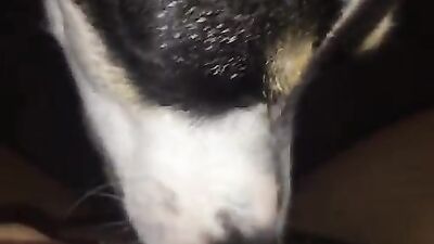 MM - Cleaning my Box
