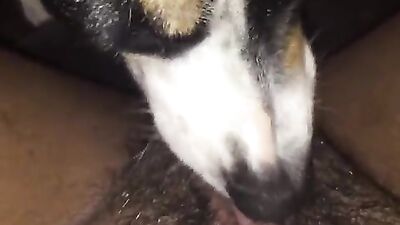 MM - Cleaning my Box