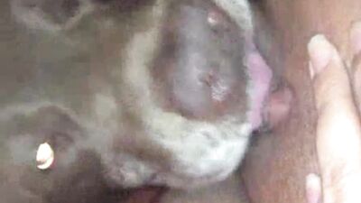 Best Pussy Lickers