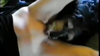 Best Pussy Lickers