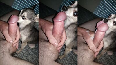 Licking A Fountain Of Cum