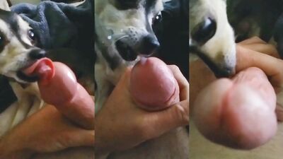Licking Daddys Cum