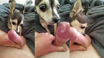 She Loves to Lick My Hard Cock