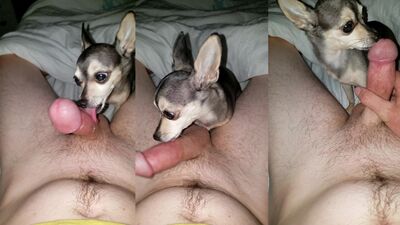 Licking Wifies Cum Off My Cock
