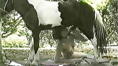 Zoo Jackoff Favorites 9
