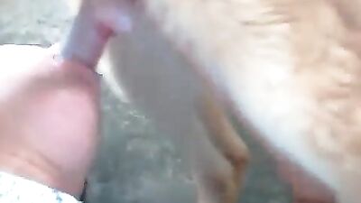 Queen of dog blowjobs 24