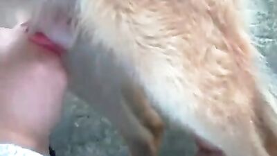 Queen of dog blowjobs 24