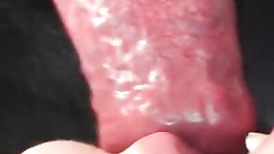 Queen of dog blowjobs 23