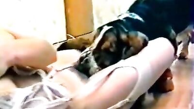 Orgasm quality zoo beauty clip