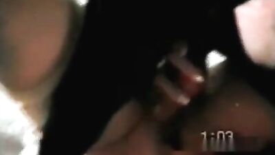 Dog sex in the Netherlands 1