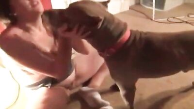 Busty girl is enjoying sex with her pet