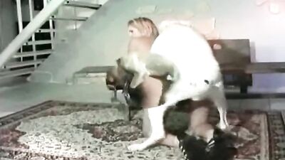Dogblowjobs54
