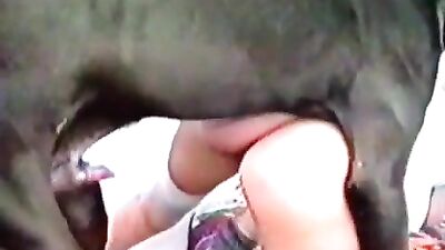 Exciting knot with a busty zoophile