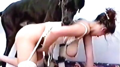 Exciting knot with a busty zoophile
