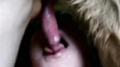 Dogblowjobs38