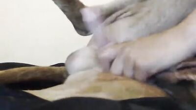 Busty babe with tats rides a dog and makes it cum