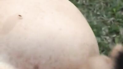 dogblowjobqueens35