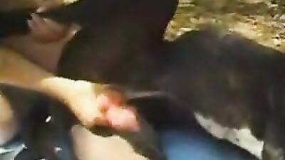 dogblowjobqueens23