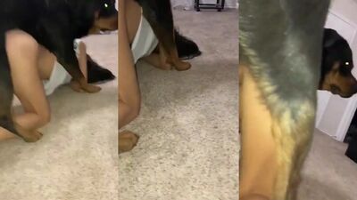 Boy girl dog: zooporn bestiality