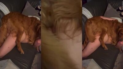 Bestiality: male fuck animal porno