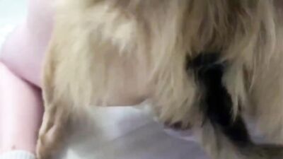 Zoophilia porno: bestiality sonya