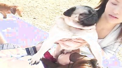Bestiality games: dogs porn yong girls